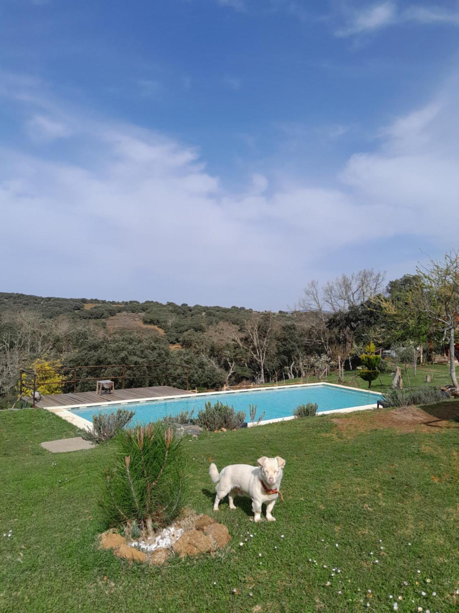 Quinta Da Devesa B1 Apartment Vinhais Bagian luar foto