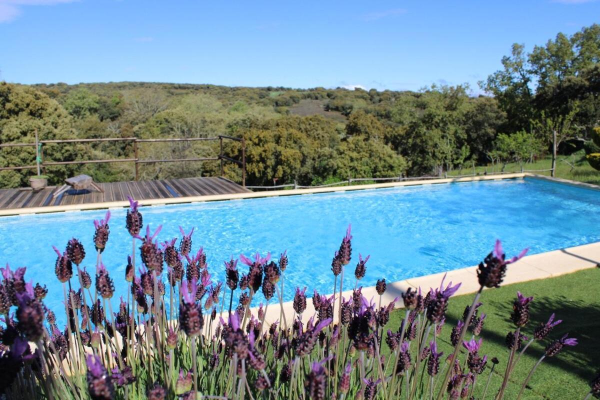 Quinta Da Devesa B1 Apartment Vinhais Bagian luar foto